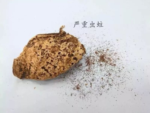 陈皮虫蛀并不可怕，掌握方法能补救