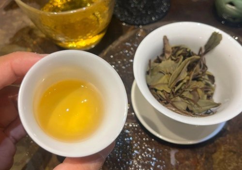 喝好一杯白茶，看看白茶都适合什么季节