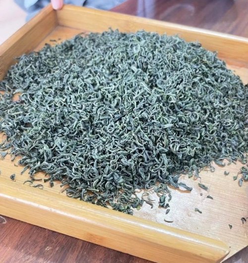 日常口粮绿茶推荐，汉中炒青茶