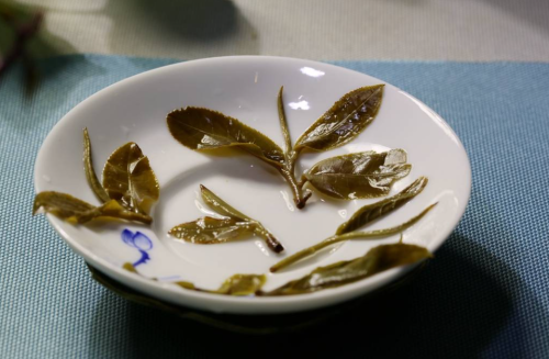 古六大茶山之倚邦古茶山