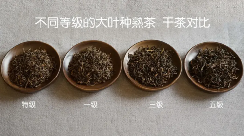 什么样的普洱茶才能称之为宫廷茶