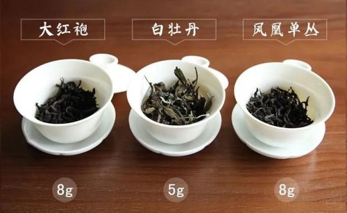 茶叶放多少合适