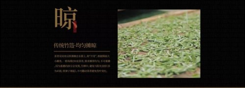 福鼎白茶-华羽村品牌介绍