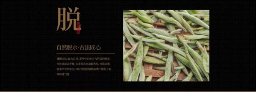 福鼎白茶-华羽村品牌介绍