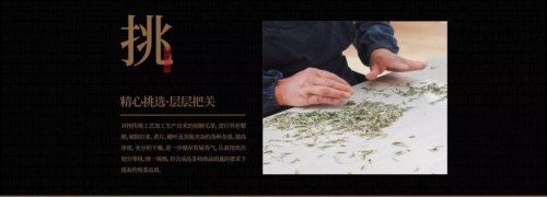 福鼎白茶-华羽村品牌介绍