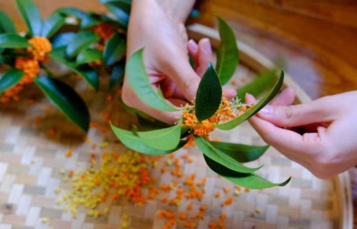 寒露时节，保暖、饮热茶，正是时候