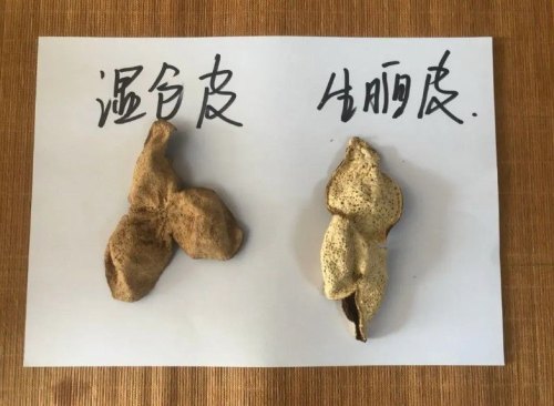 陈皮湿仓跟干仓的区别