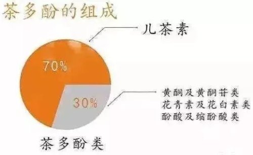 茶为什么会回甘，科学原理是这样的