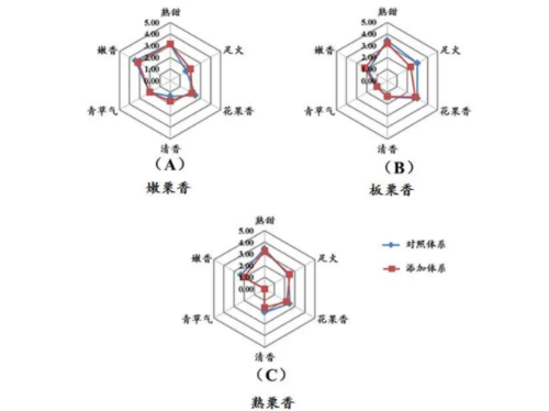 栗香：优质绿茶的特征香型之一