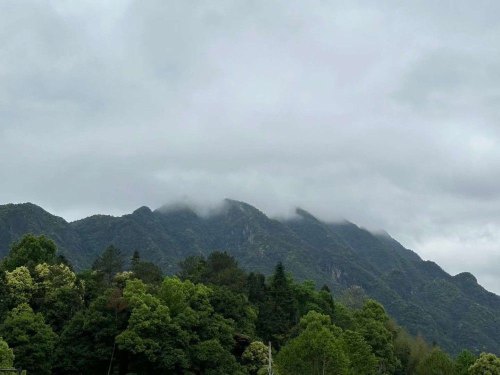 茶文 | 珍惜当下，就是简单的幸福