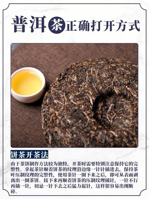 普洱茶选购指南（普洱茶干货分享）