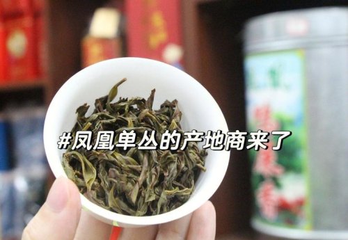 凤凰单丛茶种类价格