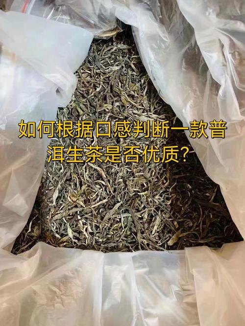 优质的普洱生茶应该符合哪些特征