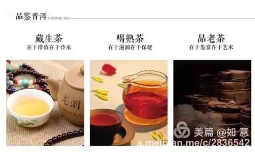 品鉴普洱茶的基本技巧，让你秒懂普洱茶「下」